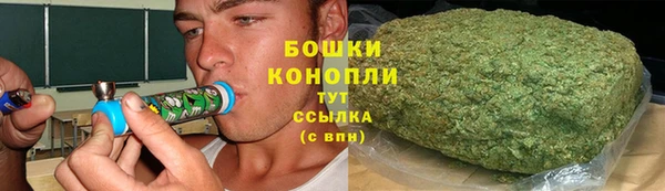 ПСИЛОЦИБИНОВЫЕ ГРИБЫ Медногорск
