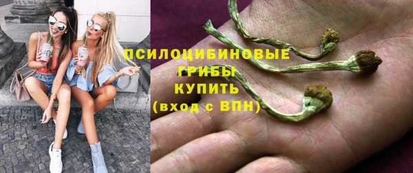 амф Березники
