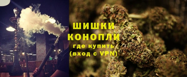 ПСИЛОЦИБИНОВЫЕ ГРИБЫ Медногорск