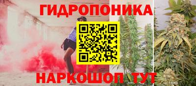 прущая мука Дубна