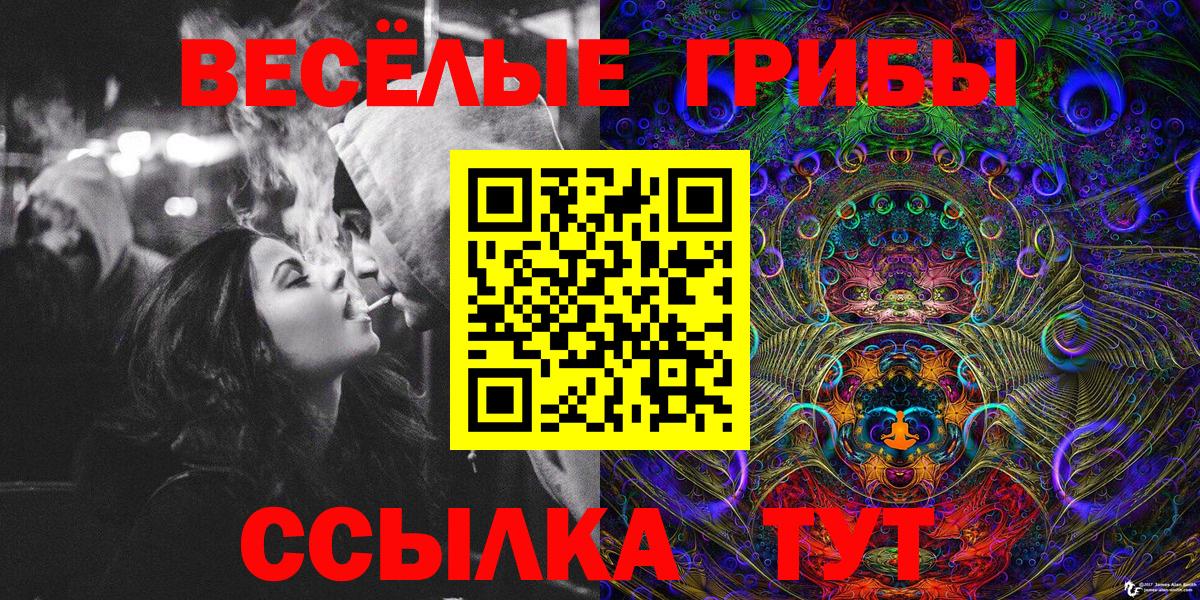 Псилоцибиновые грибы Cubensis  Красногорск 