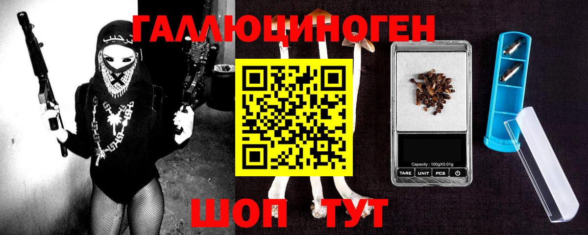 Галлюциногенные грибы Psilocybine cubensis Красногорск